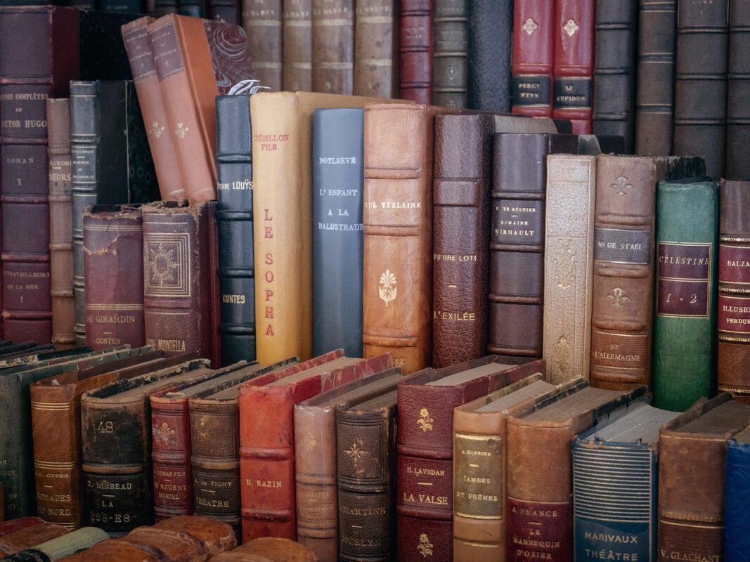 Zesty Storm — books and book storage in Boston, MA