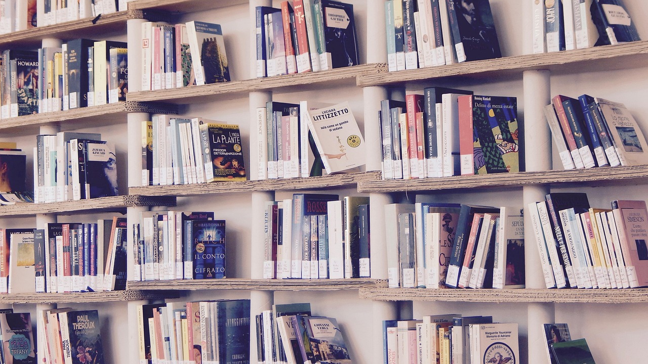 Inside Zesty Storm Supply and Book Store, Boston